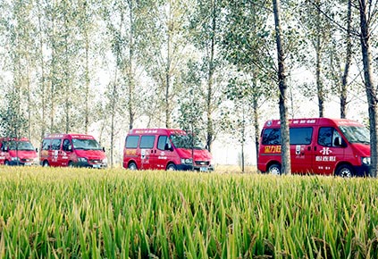 12BETҼ��������