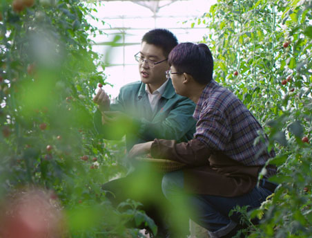 12BETҼ��������