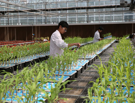 12BETҼ��������