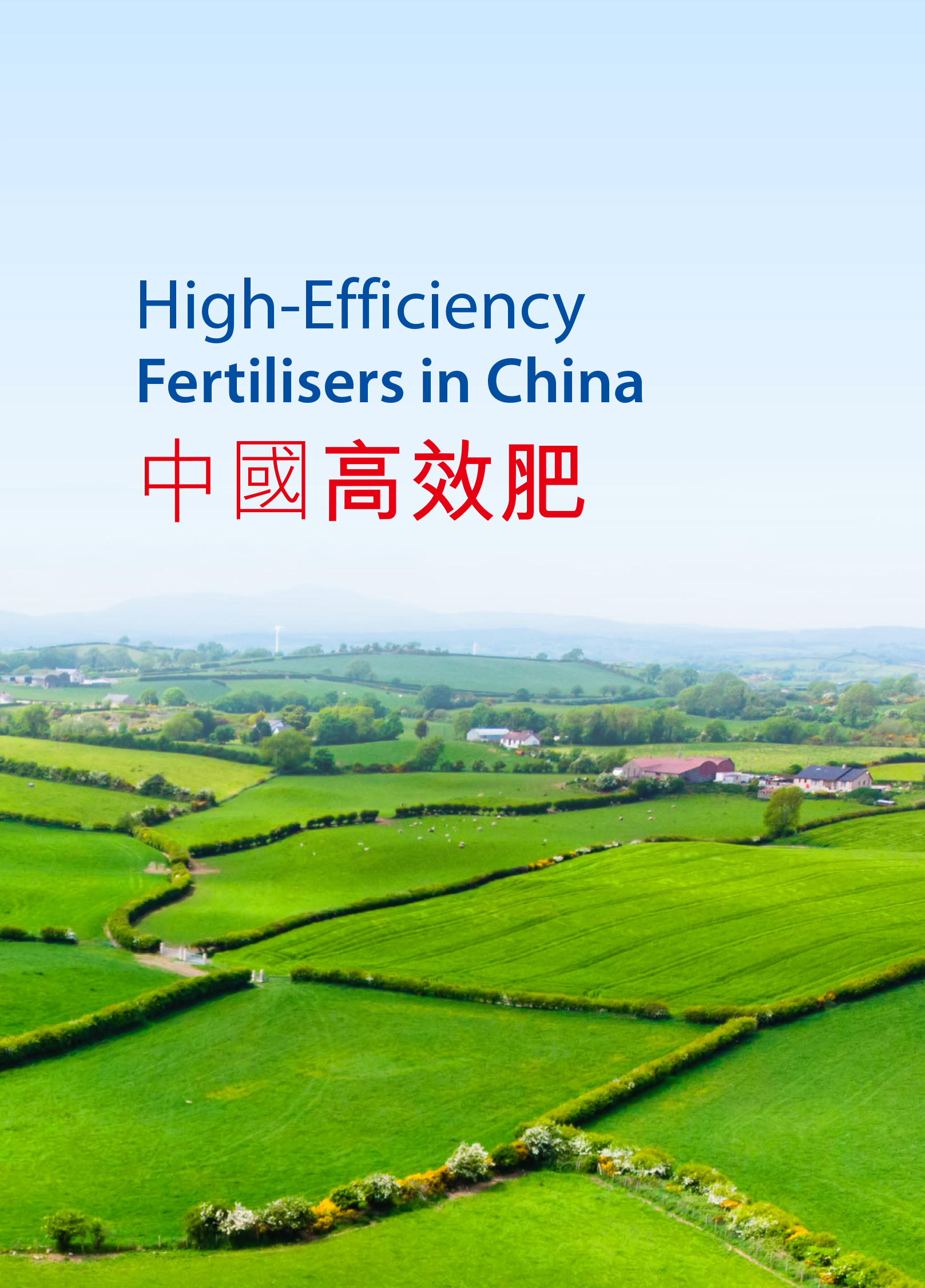 12BETҼ��������