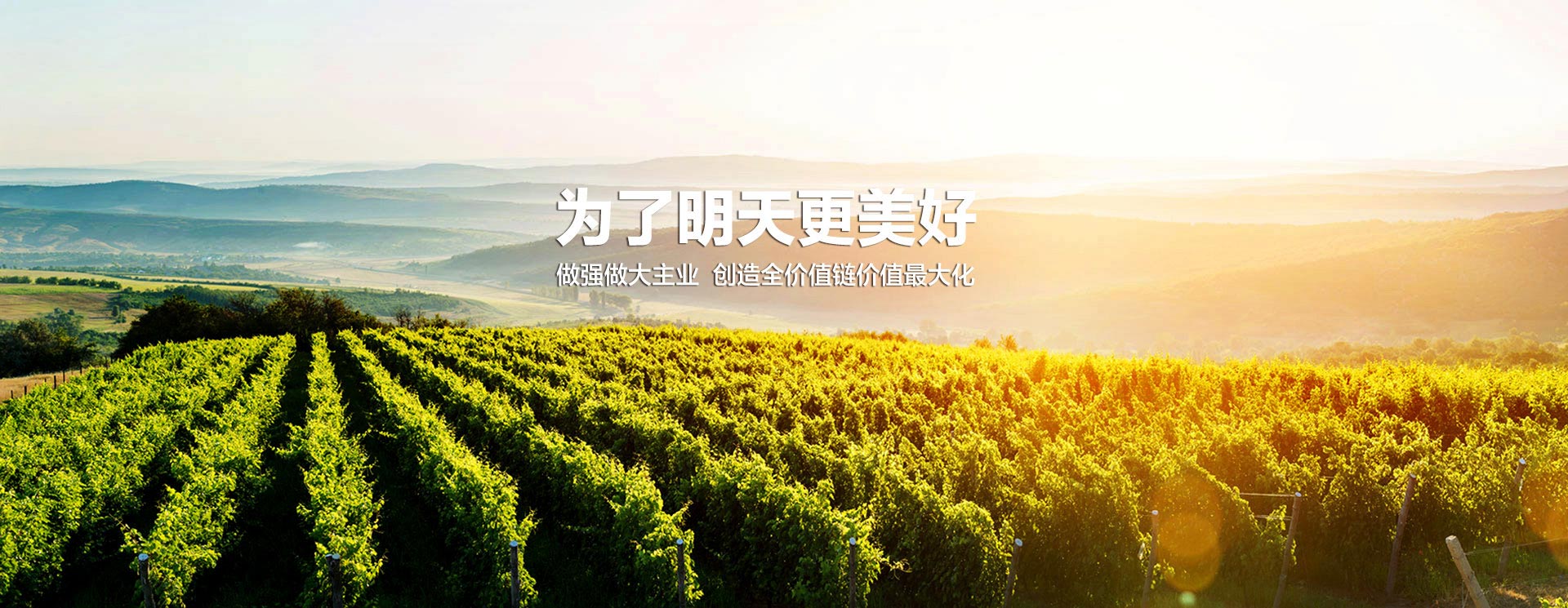 12BETҼ��������