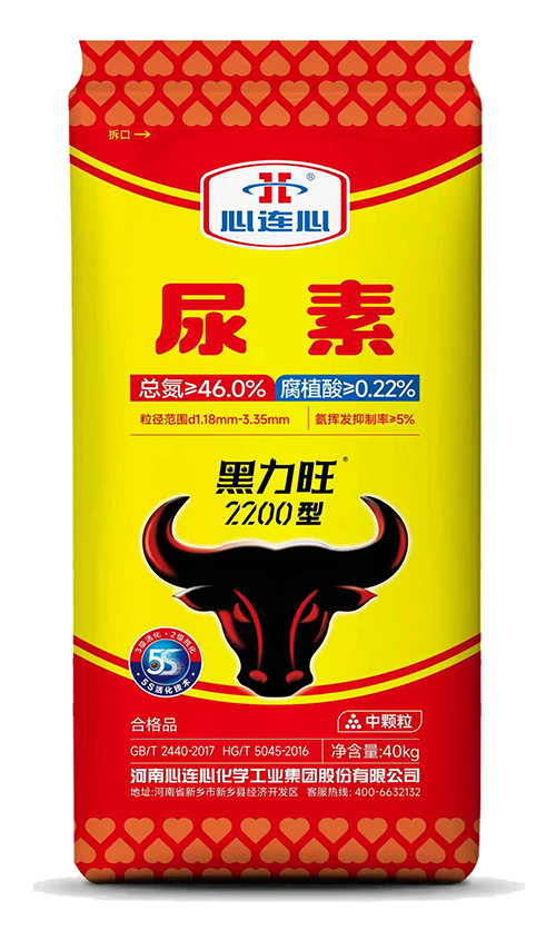 12BETҼ��������