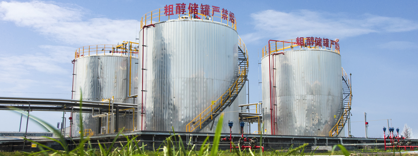 12BETҼ��������