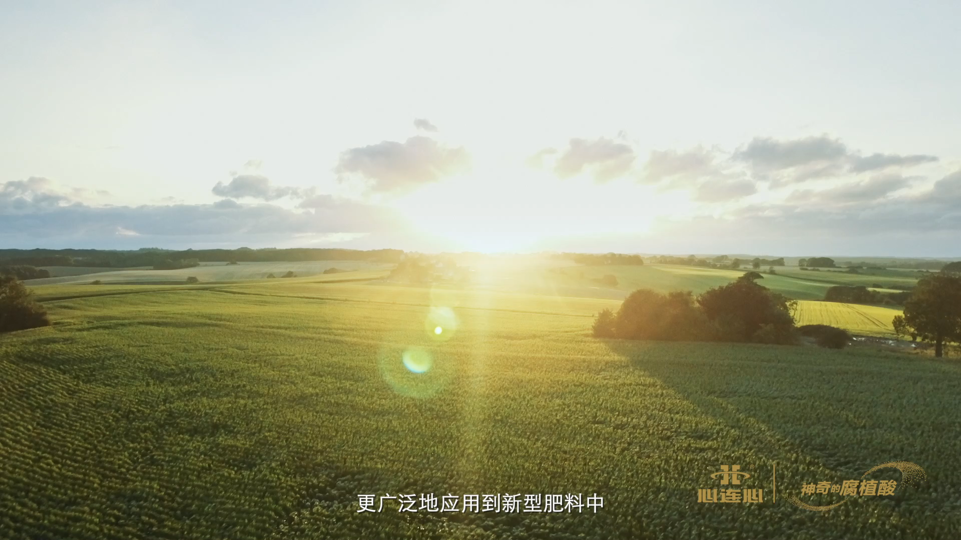 12BETҼ��������