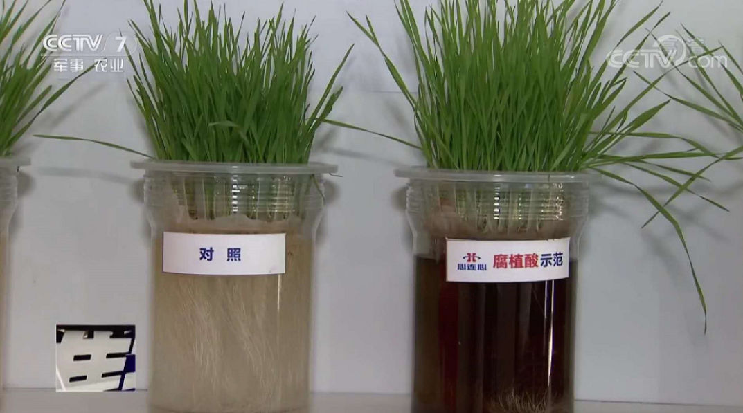 1555546995135270.png image.png