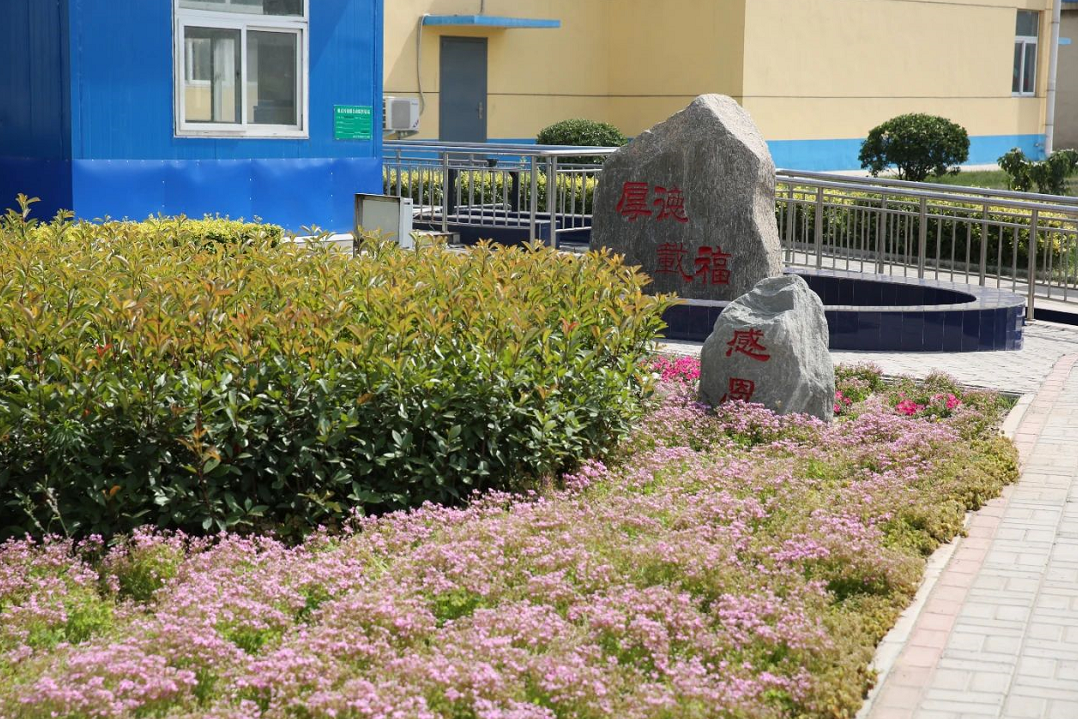 1591429215459312.png image.png