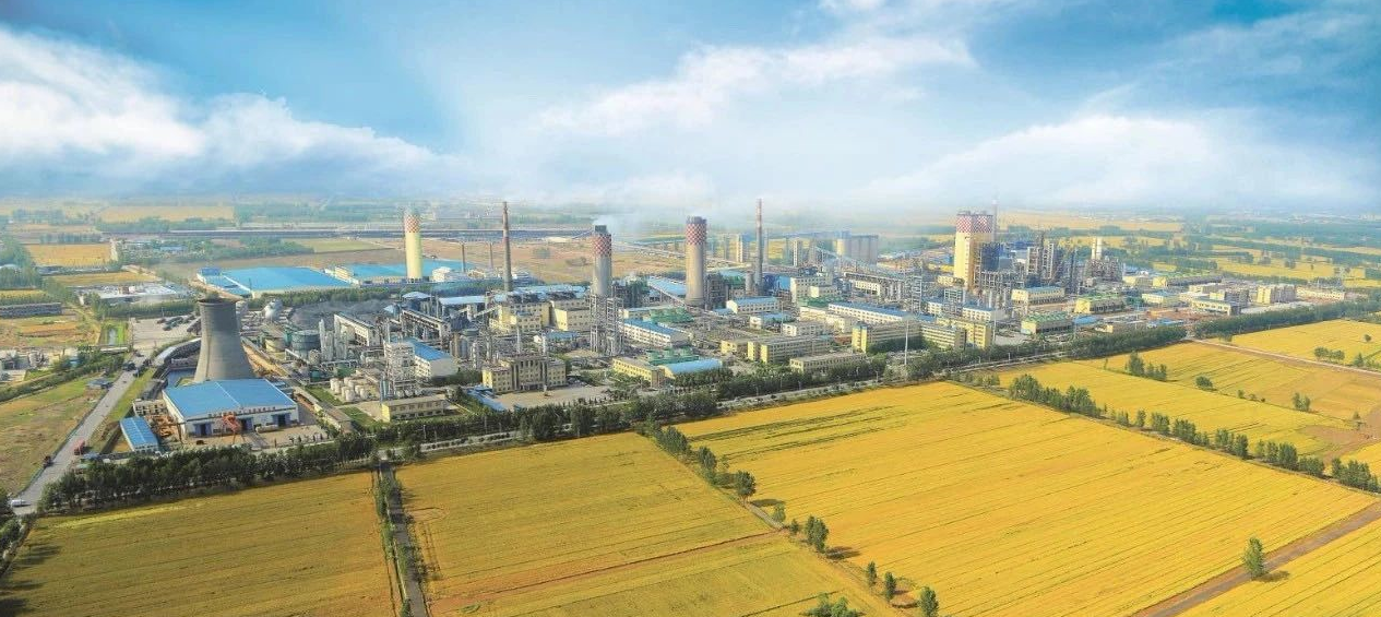 1591429598988711.png image.png