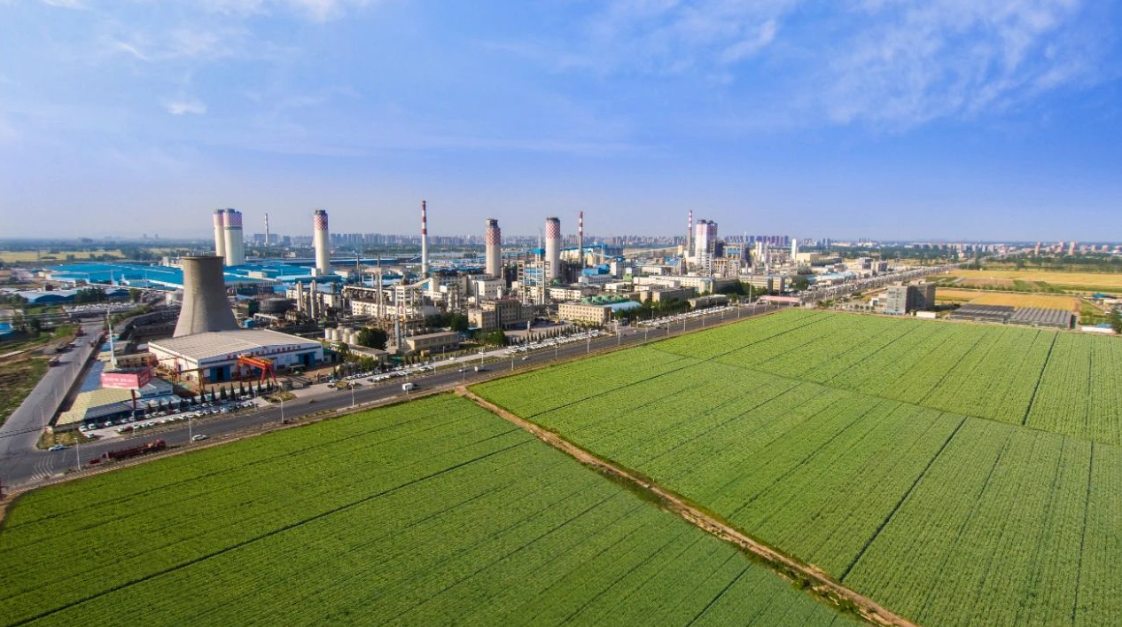 1591685467940650.png image.png