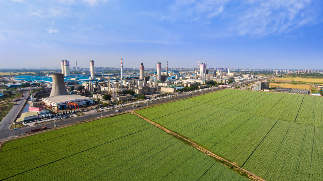 1596071820979108.png image.png