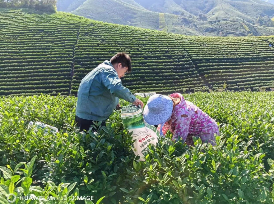 1686273261999551.png image.png