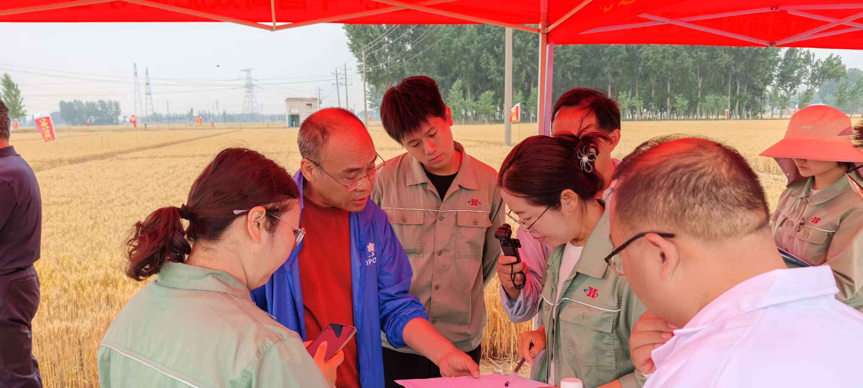 ���º����¿Ƽ�����ũҵ��12BETҼ����������������������ֲ�������鼯�����ֵ�������ʮ���塱���⽻������Ч����