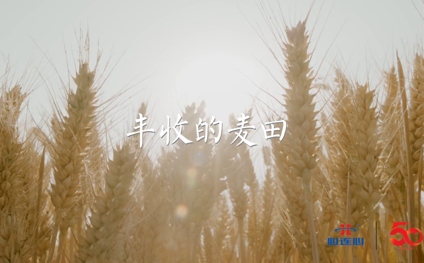 ���յ�����