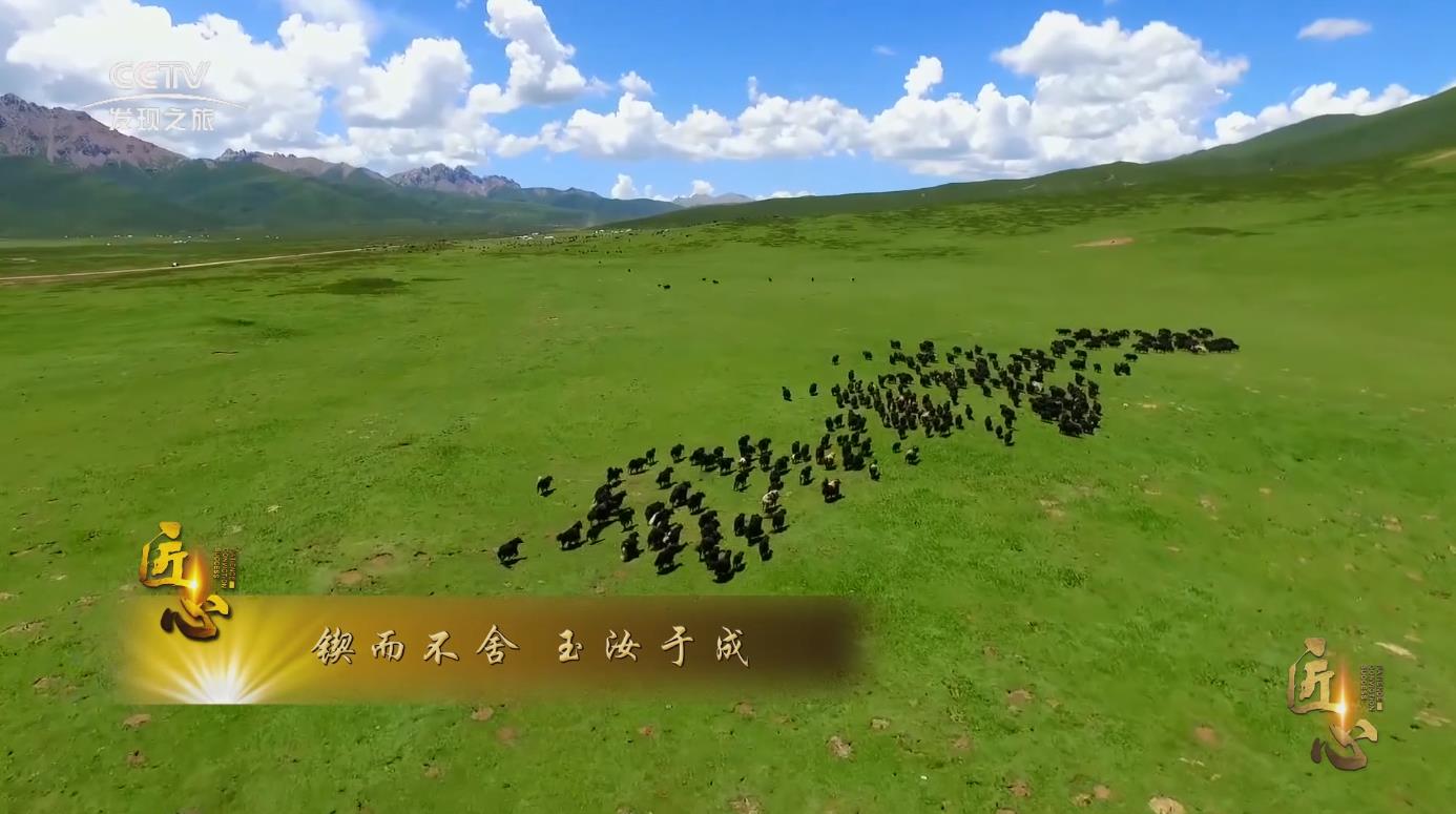 ����ƪ�����ƶ����� �����ڳ�