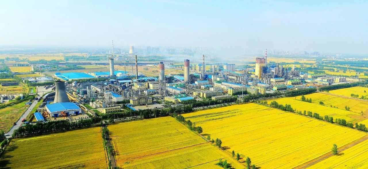 ��12BETҼ����������������������ֲ�������顤˲�䡿12BETҼ����������������������ֲ�������黯ѧ��ҵ���Ž���50����������ģ�