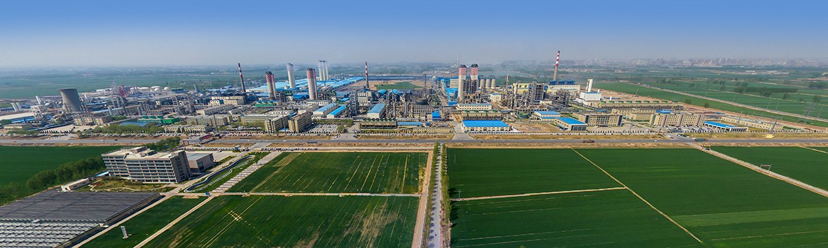 ��12BETҼ����������������������ֲ�������顤˲�䡿12BETҼ����������������������ֲ�������黯ѧ��ҵ���Ž���50����������ߣ�