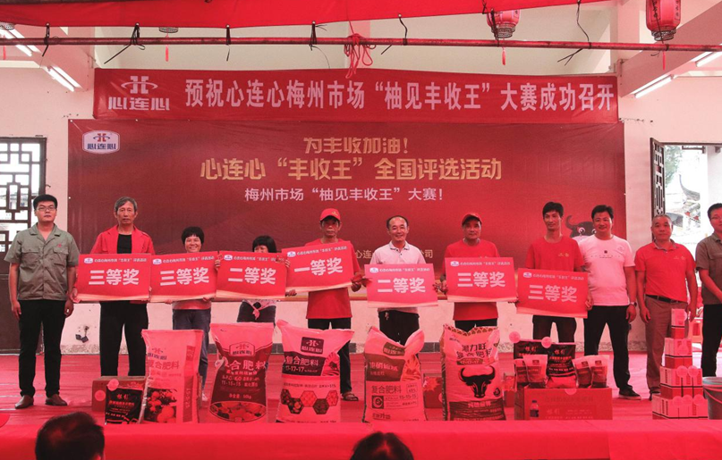 �������������ִ���������÷�ݡ��ּ�����������